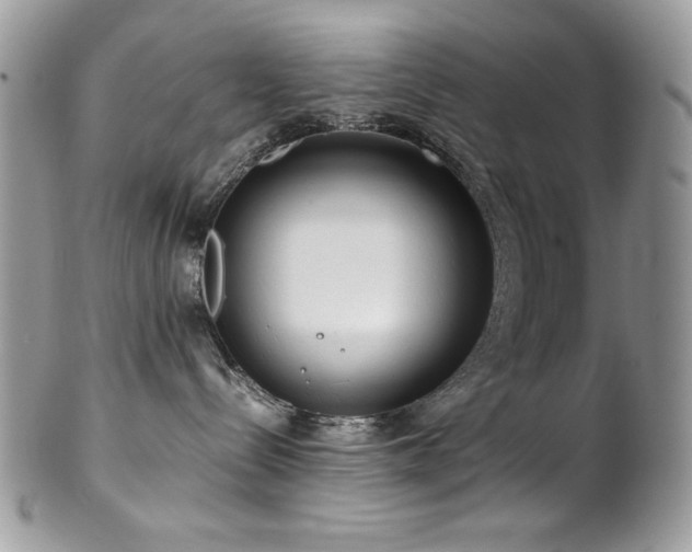 X0000102820288200808181253