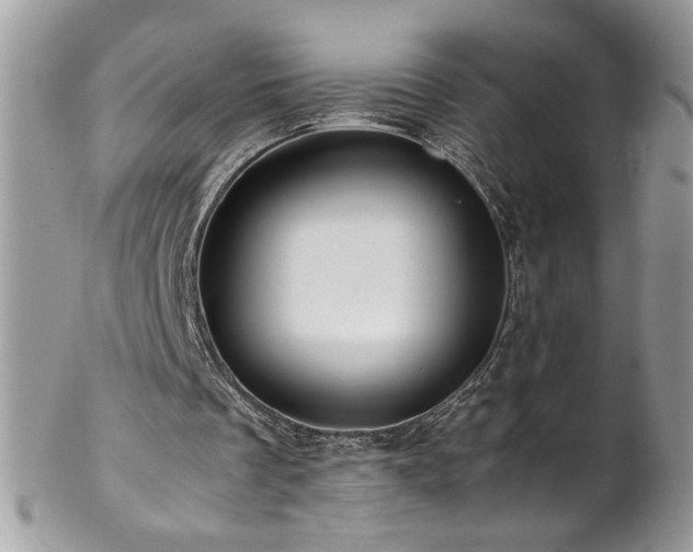 X0000102820289200808181252