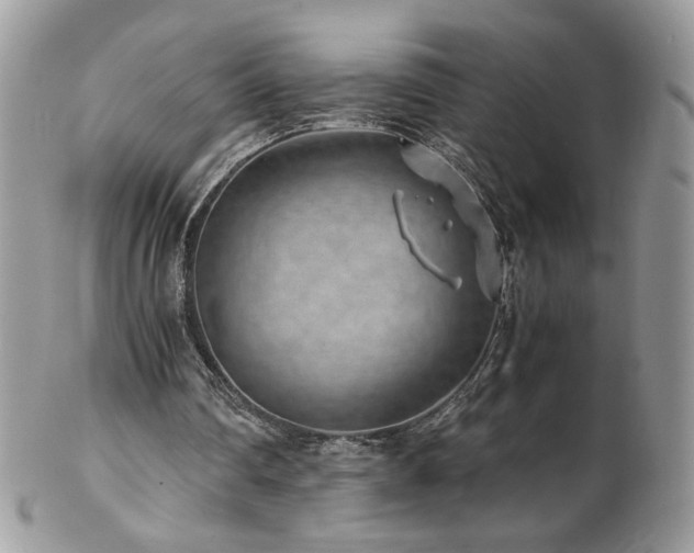 X0000102820290200808181252