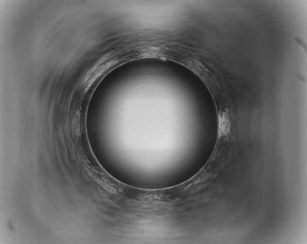 X0000102820291200808181252