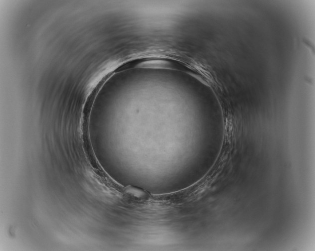 X0000102820292200808181252