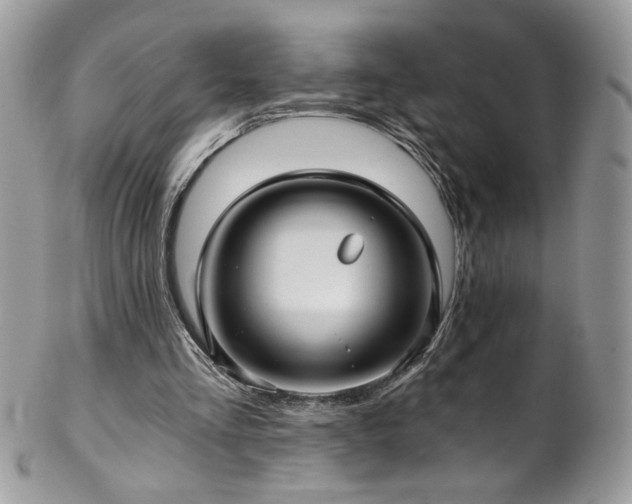 X0000102820293200808181252
