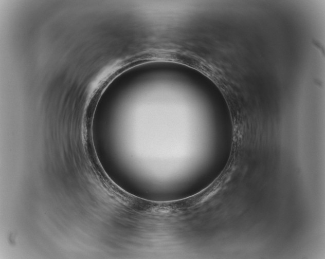 X0000102820294200808181252