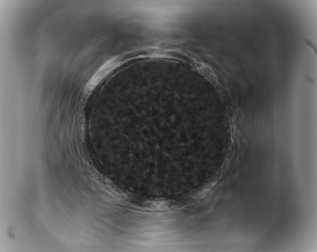 X0000102820295200808181252