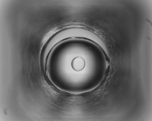 X0000102820296200808181252