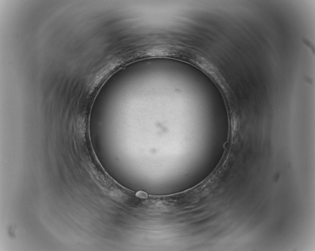 X0000102820297200808181252