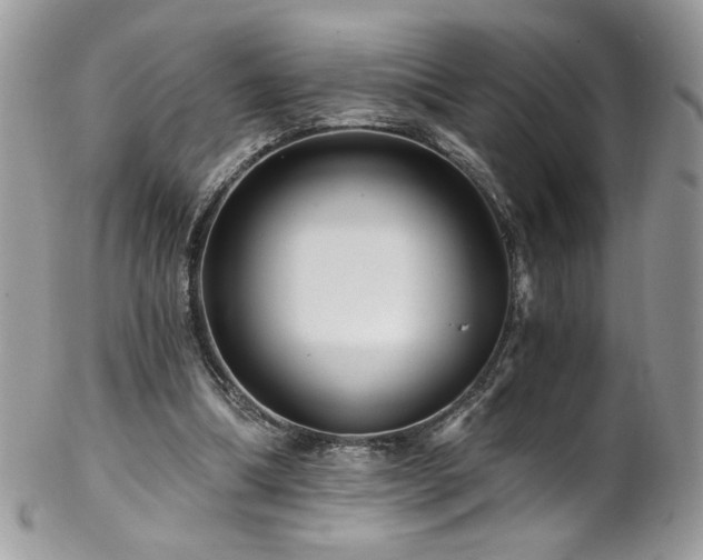 X0000102820298200808181252