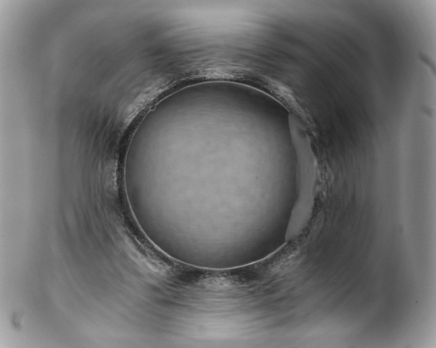 X0000102820299200808181252