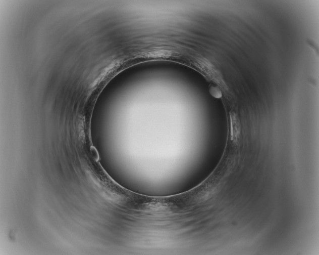 X0000102820300200808181252