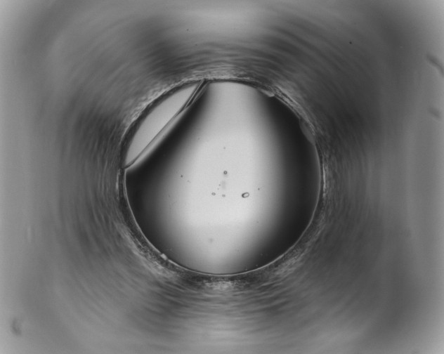 X0000102820301200808181252