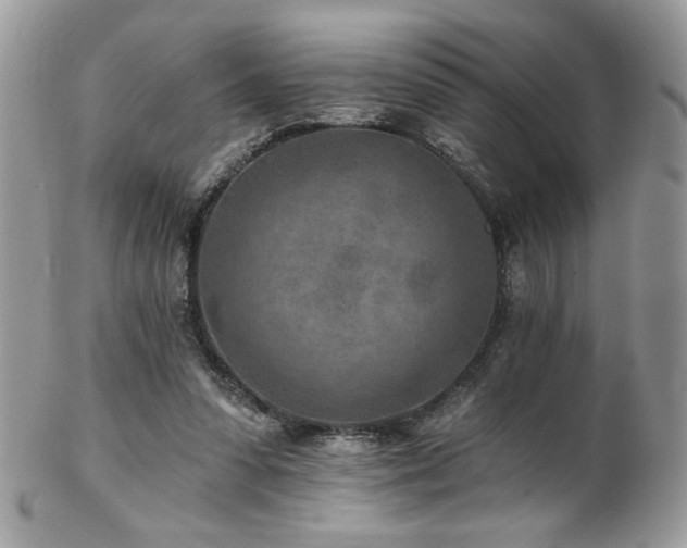 X0000102820303200808181252