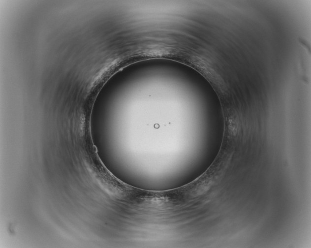 X0000102820304200808181252
