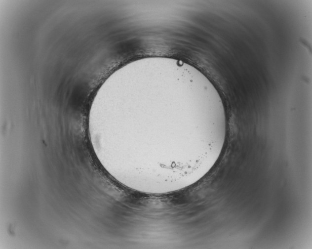 X0000102820305200808181252
