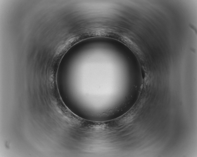 X0000102820306200808181252