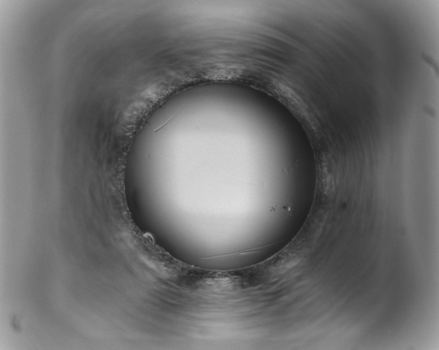 X0000102820307200808181252