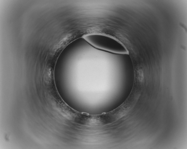X0000102820308200808181252