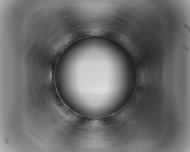 X0000102820310200808181252