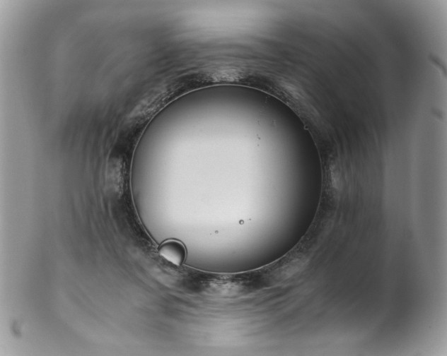 X0000102820311200808181252