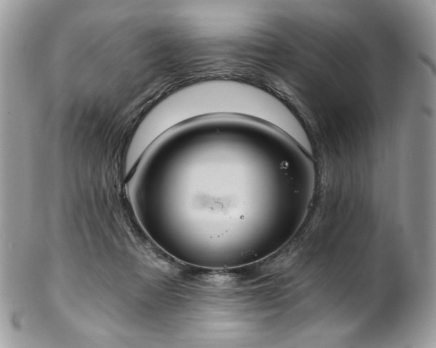 X0000102820313200808181252