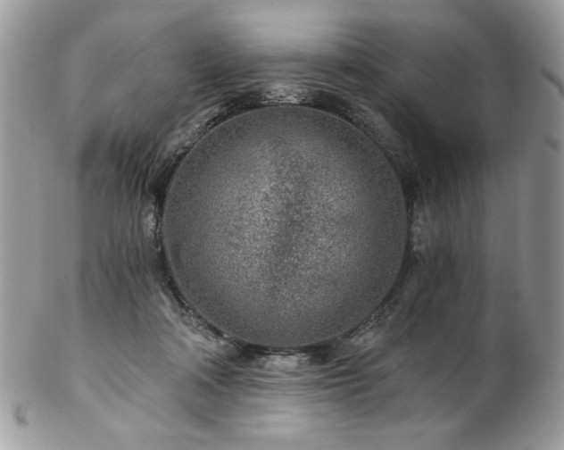 X0000102820314200808181252