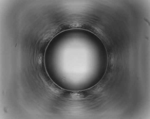 X0000102820315200808181252