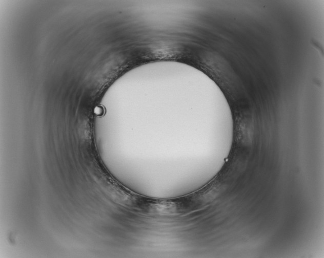 X0000102820317200808181251