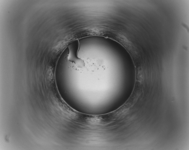 X0000102820318200808181251