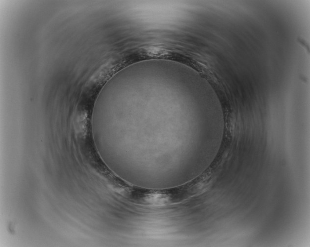 X0000102820319200808181251