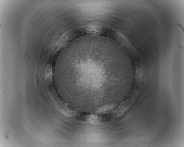X0000102820320200808181251