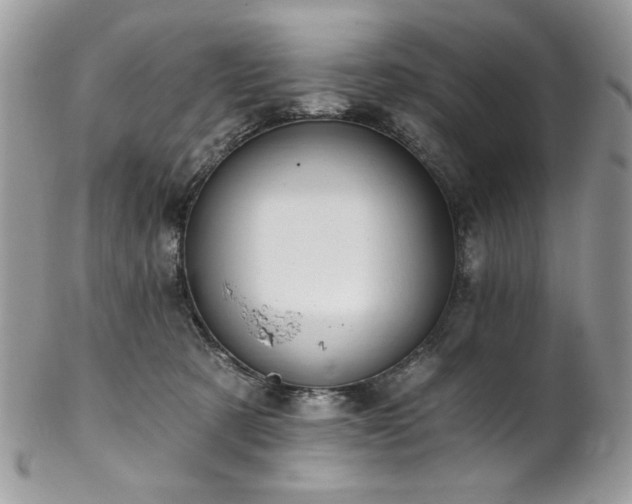 X0000102820321200808181251
