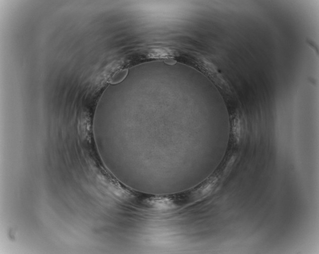 X0000102820322200808181251
