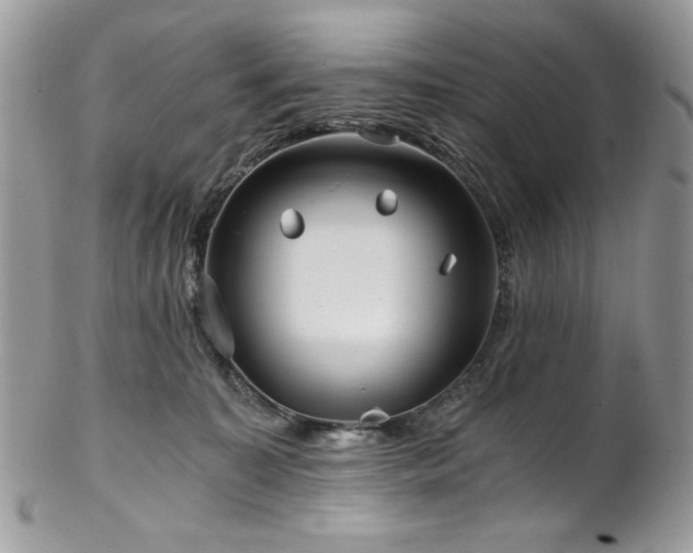 X0000102820323200808181251