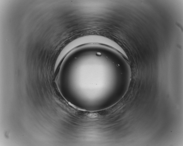 X0000102820324200808181251