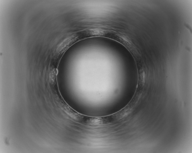 X0000102820325200808181251