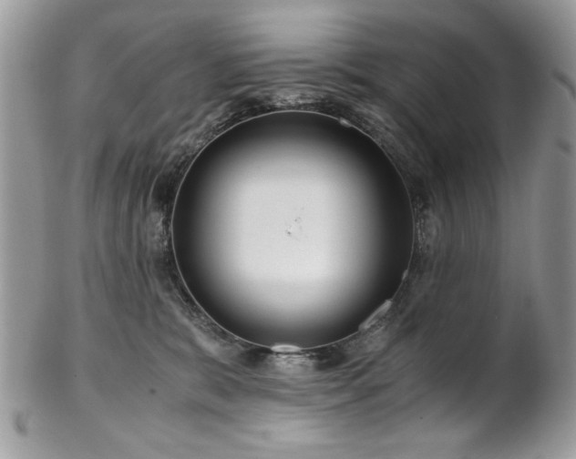 X0000102820327200808181251