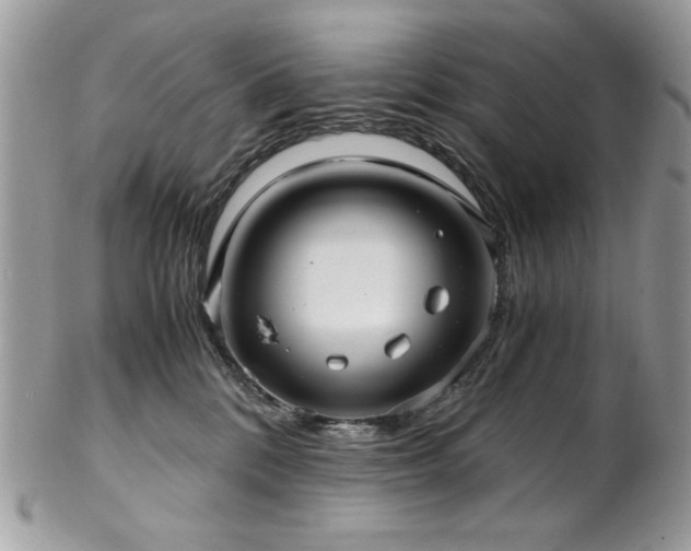 X0000102820328200808181251