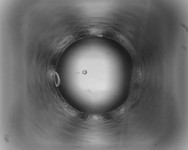 X0000102820329200808181251