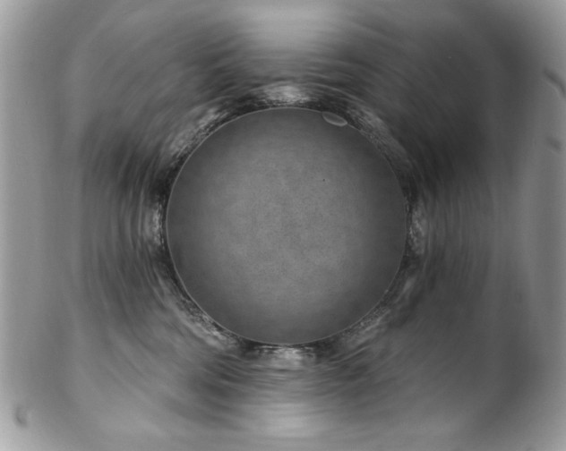X0000102820330200808181251