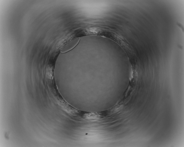 X0000102820331200808181251