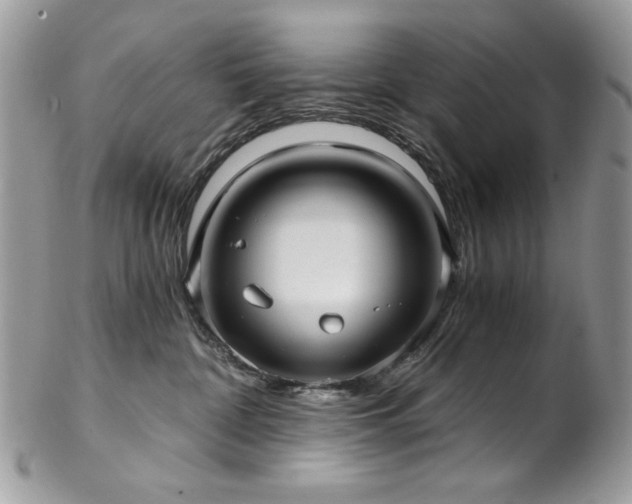 X0000102820332200808181251