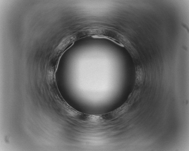 X0000102820333200808181251