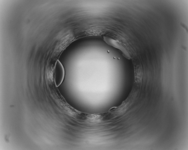X0000102820334200808181251
