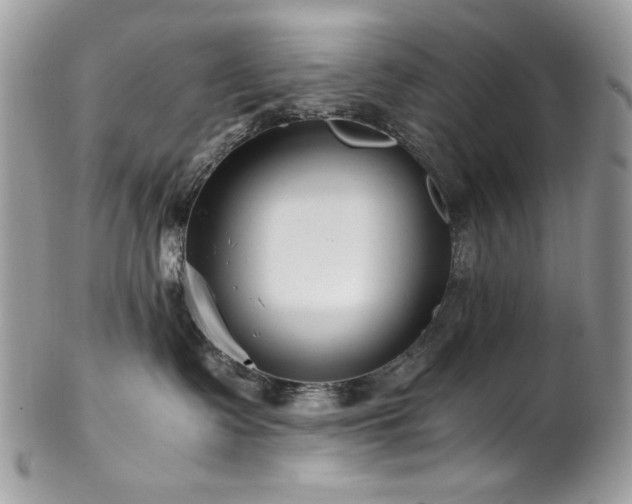 X0000102820335200808181251