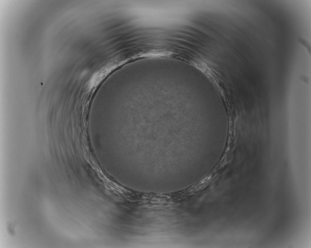 X0000102820337200808181251