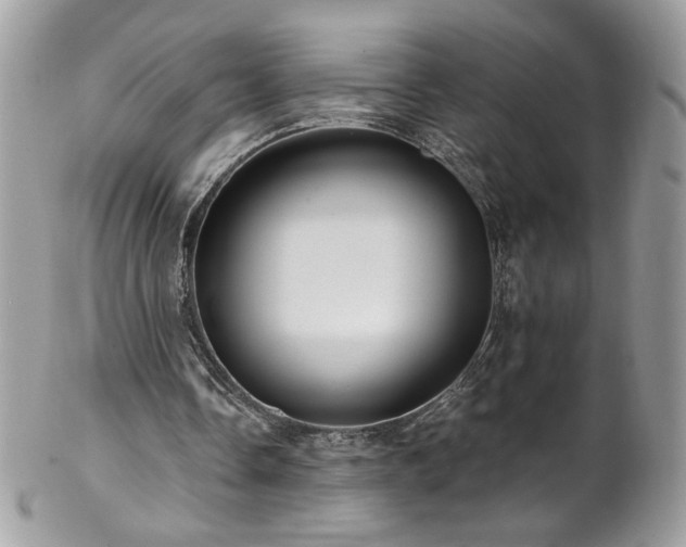 X0000102820338200808181251