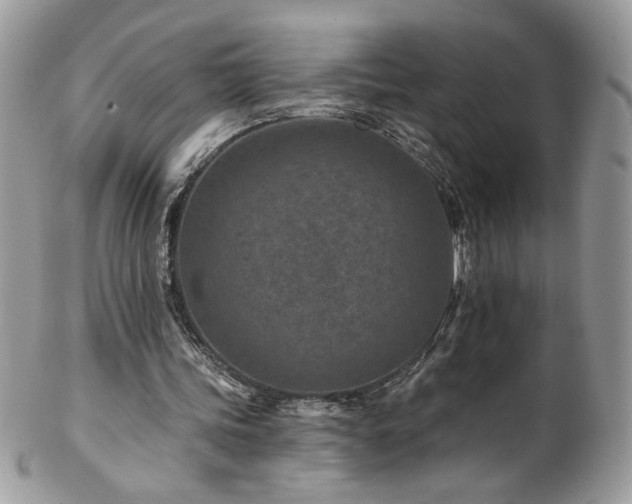 X0000102820339200808181251