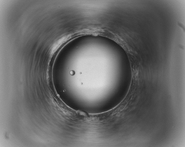 X0000102820340200808181251