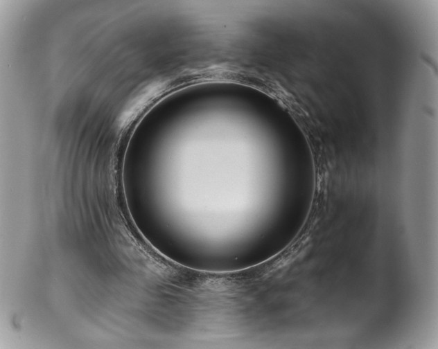 X0000102820341200808181251
