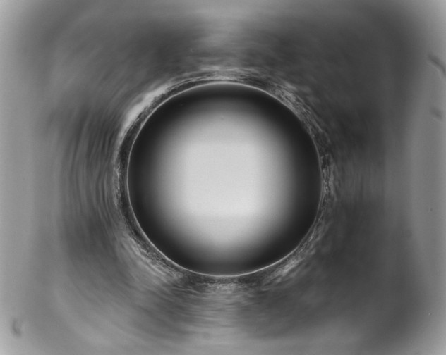 X0000102820342200808181251