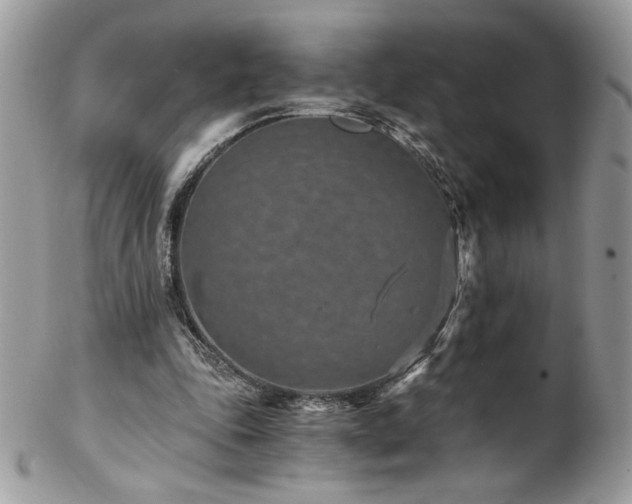 X0000102820343200808181251